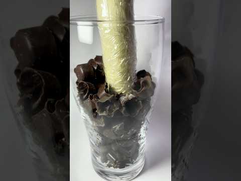 ASMR Crushing Rock-Hard Frozen Chocolates in Different Shapes🍫❄️カチカチに凍らせたいろいろな形のチョコを砕くASMR