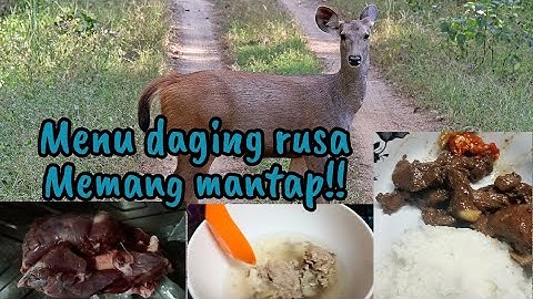 Masak sup tulang rusa