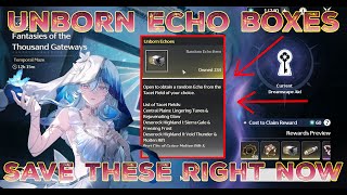 Have You Been Saving These For The New Echo Sets [Wuthering Waves]