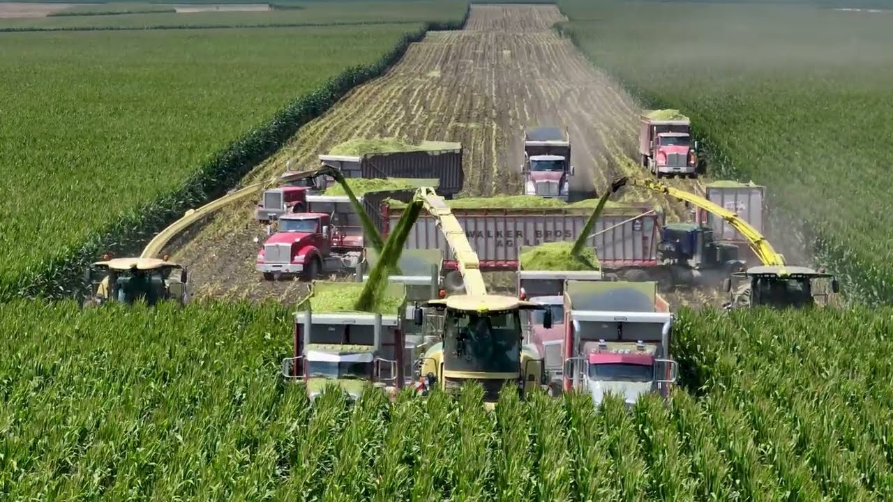 Corn Silage Harvest with 3 Choppers (2 Krone 1180's plus a  John Deere 9900 )