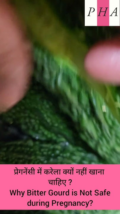 Pregnancy Mein Karela Kyon Nahin Khana Chahie Why Bitter Gourd Is Not pregnancy-mein-karela-kyon-nahin-khana-chahie-why-bitter-gourd-is-not