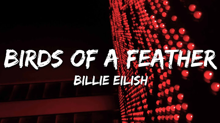 Billie Eilish - BIRDS OF A FEATHER (Lyrics)