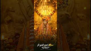 Shri Swami Samarth Maharaj Punyatithi Status  Swami Samarth Whatsapp Status Akkalkot Swami Darshan