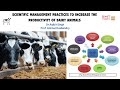 Scientific Management Practices to Increase the Productivity of Dairy Animals |Dr.Rajbir Singh|IIMTU