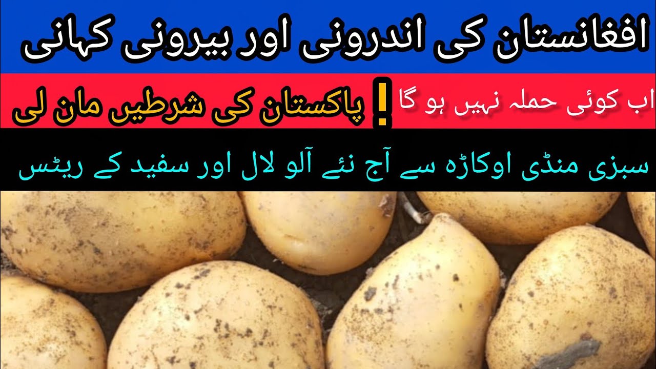 Latest situation of Pak-Afghan border Potato rates from vegetable market Okara today 20.02.2026