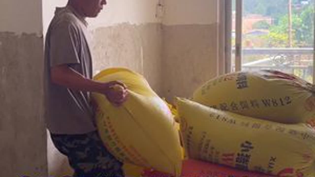 水稻晒干了，小伙回农村种了1.6亩的田，看看收获了多少袋稻谷 #农村 #水稻 #大米 #我的乡村生活 #广西