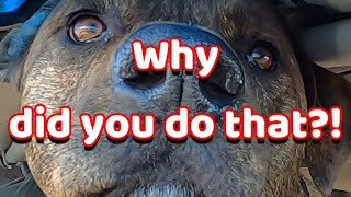Why did you do that?