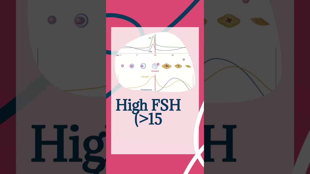 The FSH Test Explained