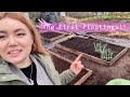 Planting early potatoes allotment vlog  ep 6 
