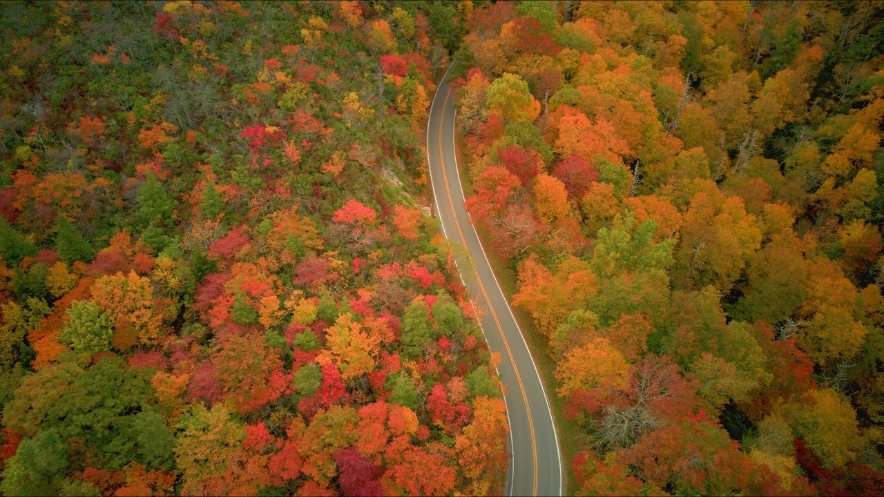 2025 Visiting the Blue Ridge Mountains in Fall (in 4K)