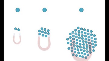 Binding Energy per Nucleon