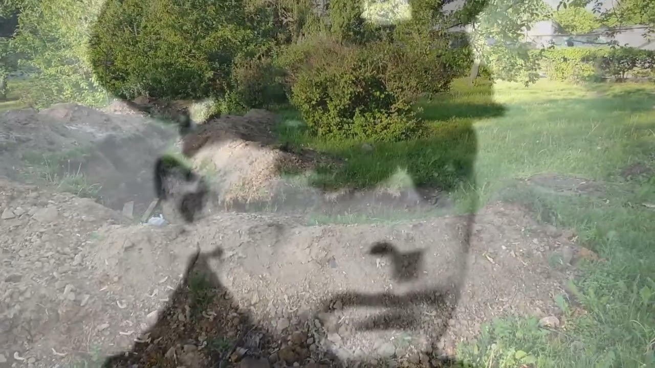 Einsatzkommando 4a. Method of mass murder.