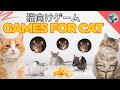 猫向け3Dゲーム 🎮 Cat TV 🐱 [Fast Mouse Running – Interactive Cat Video]  3D HD フルエンターテインメント
