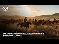 The American Rodeo: Canal Terraviva transmite fases finais do rodeio