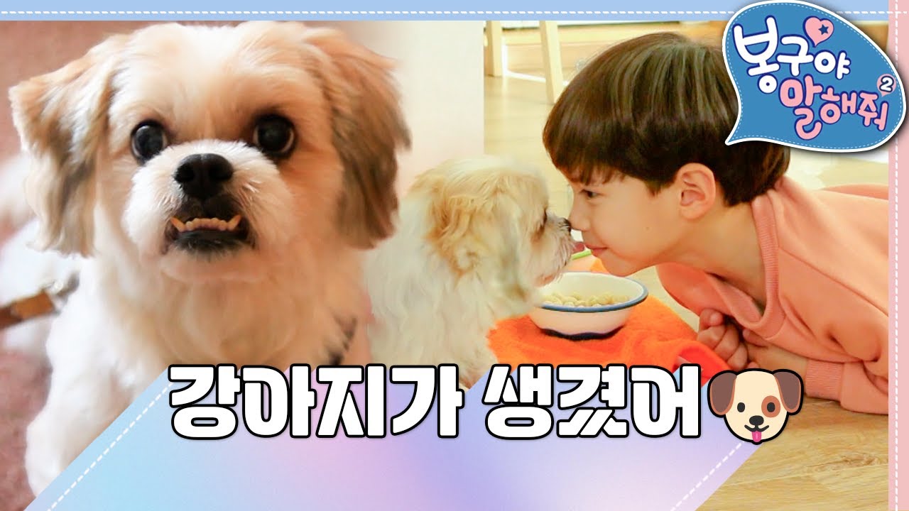 [EBS놀이터] 봉구야 말해줘2💙｜강아지가 생겼어🐶｜민준｜봉구｜바바｜2편 모아보기
