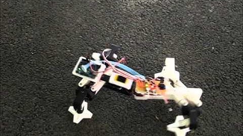 Bio-Inspired Robots