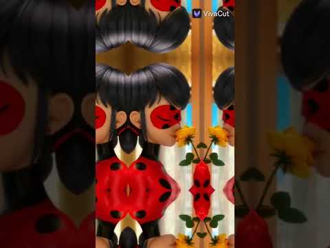 تصميم صور الدعسوقه والقط الاسود