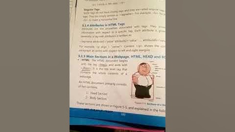 Computer science class 9th chapter no 5 designing website topic main section in html document