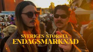 Vi äter oss igenom Sveriges största endagsmarknad!