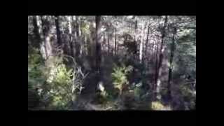 PRUEBA CCB CATALUNYA CADÍ  23 11 2013