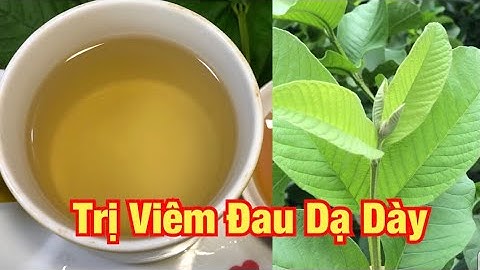 Trị Viêm Loét, Đau Dạ Dày, Tiêu Chảy Bằng Lá Ổi -ĐTT Thuỷ