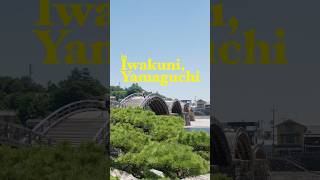 For a less touristy side of Japan, head over to Iwakuni. #japan #iwakuni #japantravel