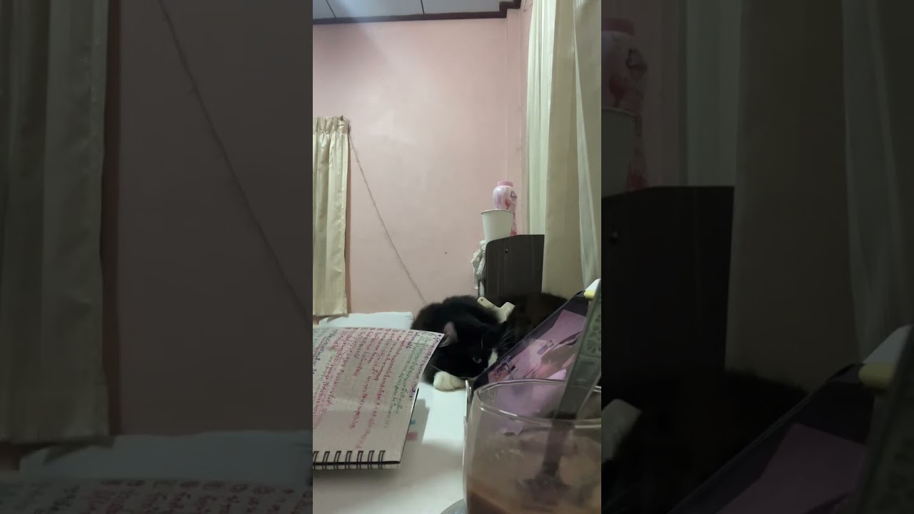 Study with My zhenai📖✅❤️