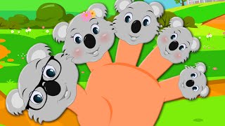 Koala Bear Finger Family Nursery Rhymes Kids Songs Baby Videos