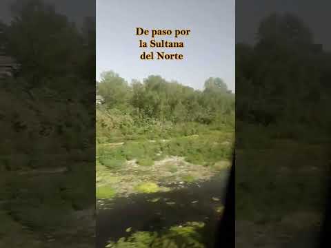 #Monterrey #SultanadelNorte #MTY #MonterreyMexico #ExploraMonterrey #shortfeed #diy