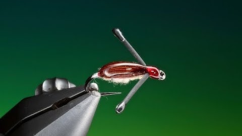 Tying a Water boatman with Barry Ord Clarke
