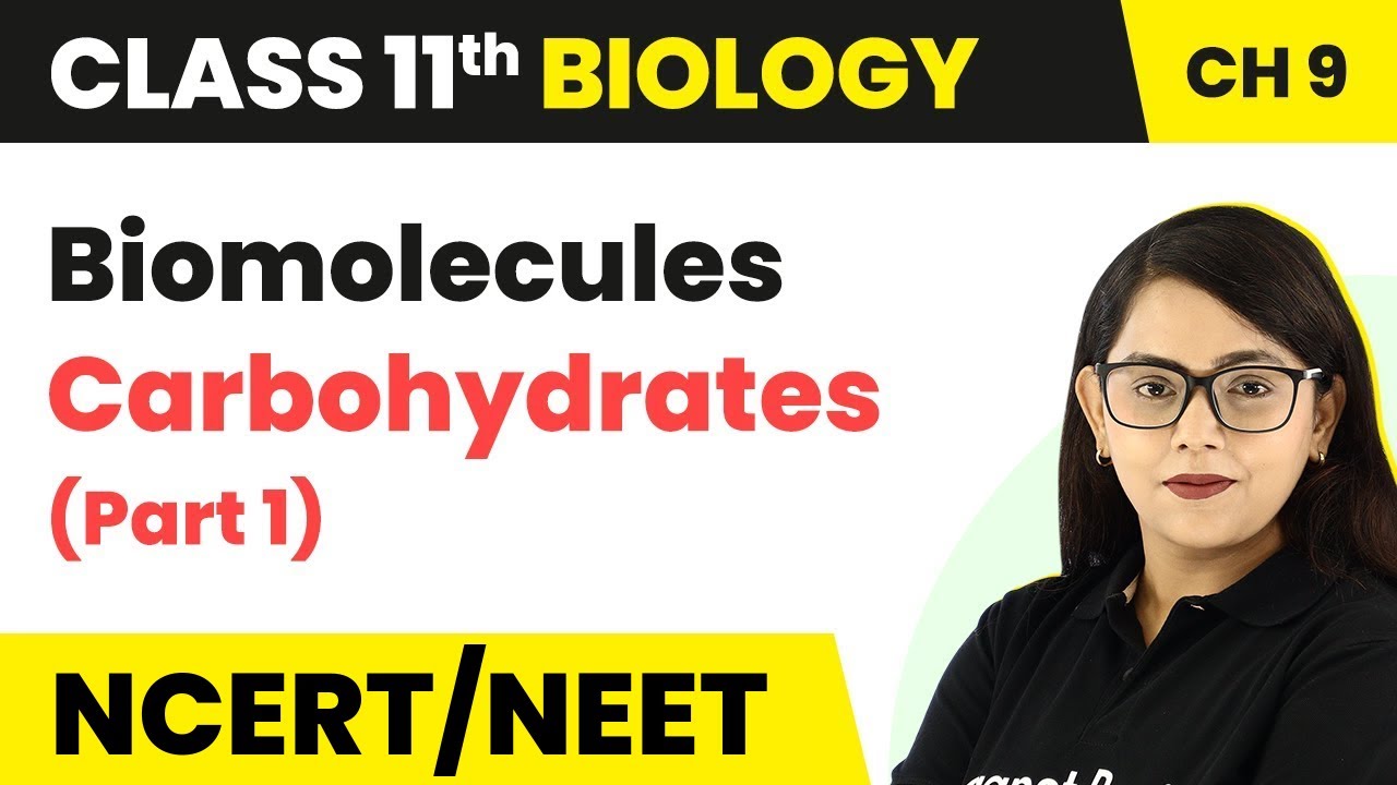 Carbohydrates (Part 1) Class 11 Biology Biomolecules Carbohydrates