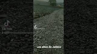 los atardeceres en los altos de Jalisco
