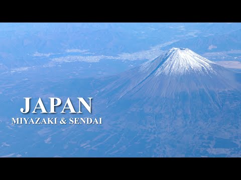 【一時帰国🇯🇵】 3年ぶりの日本！/宮崎人と仙台人が行く地元グルメ/日本食はやっぱり最高✨/2024年12月