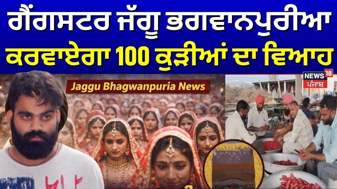 Jaggu Bhagwanpuria News | ਗੈਂਗਸਟਰ ਜੱਗੂ ਭਗਵਾਨਪੁਰੀਆ ਕਰਵਾਏਗਾ 100 ਕੁੜੀਆਂ ਦਾ ਵਿਆਹ | News18