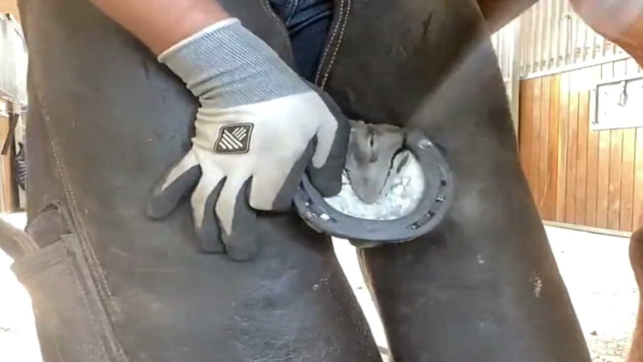 🐴Hoof Cleaning HOOF TRIMMING Horse farm🐴Incredible Horse Hoof