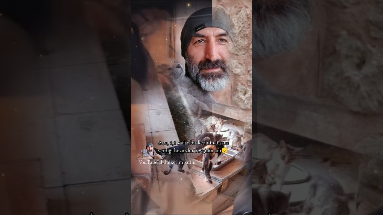 Avuç içi kadar bir kedinin insana verdiği huzurdur Sevginin adı😞