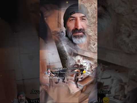 Avuç içi kadar bir kedinin insana verdiği huzurdur Sevginin adı😞