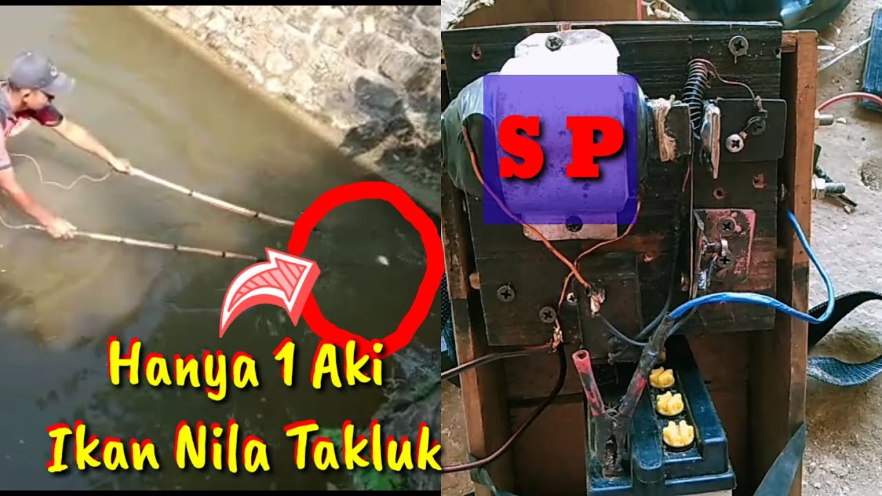 SETRUM IKAN NILA TIPE SEKUNDER PRIMER