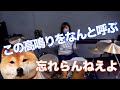 【ドラム】忘れらんねえよ / この高鳴りをなんと呼ぶ 叩いてみた