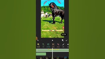 how to scroll text #onlinejobs#shorts  #shortsviral #videoeditor