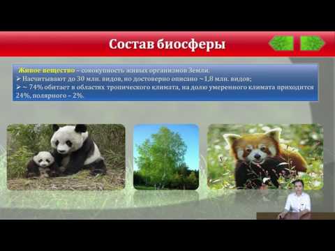 Абдуова Айсулу Учение В И Вернадского о биосфере