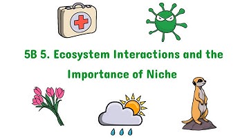 5B 5. Ecosystem Interactions and the Importance of Niche | Edexcel IAL Biology | Unit 4