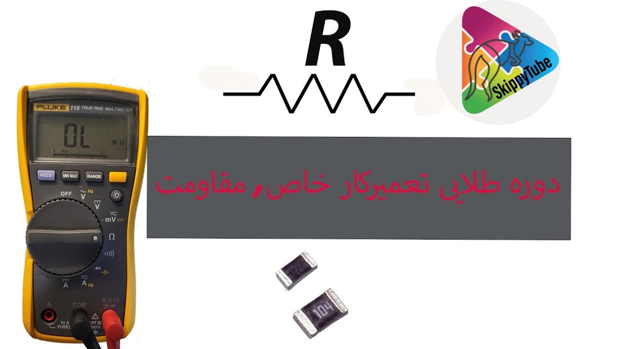 دوره طلایی تعمیرکار خاص, مقاومت