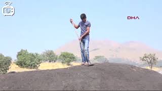 Mangal Kömürü Işçilerinin Ekmek Mücadelesi