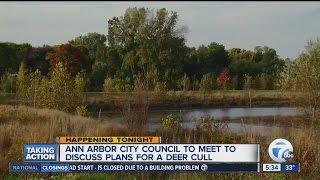 Ann Arbor City Council to meet to discuss plans for a deer cull