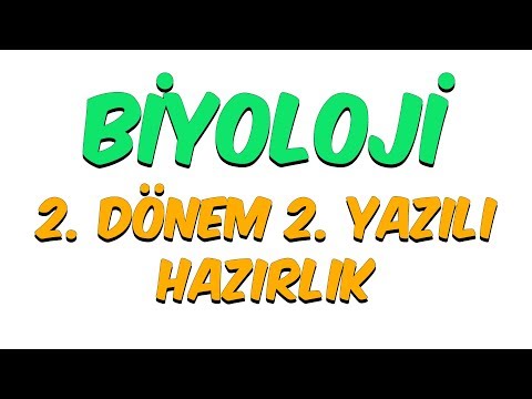 9.Sınıf Biyoloji | 2. Dönem 2. Yazılıya Hazırlık