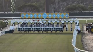 Del Mar Nightcap Ends in a Photo Finish and Stewards' Disqualification