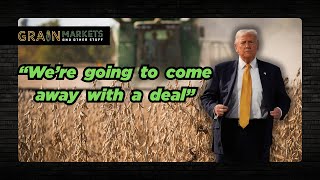 видео: Цены на сою достигли годового максимума на фоне надежд на торговую сделку: но разве это всего лиш... картинка: Цены на сою достигли годового максимума на фоне надежд на торговую сделку: но разве это всего лиш...