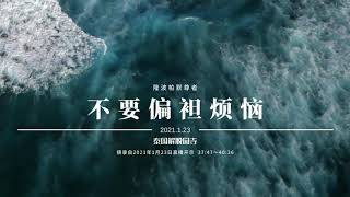Ds076 不要偏袒烦恼 :: 隆波帕默尊者 — 2021年1月23日 | 中文同声传译