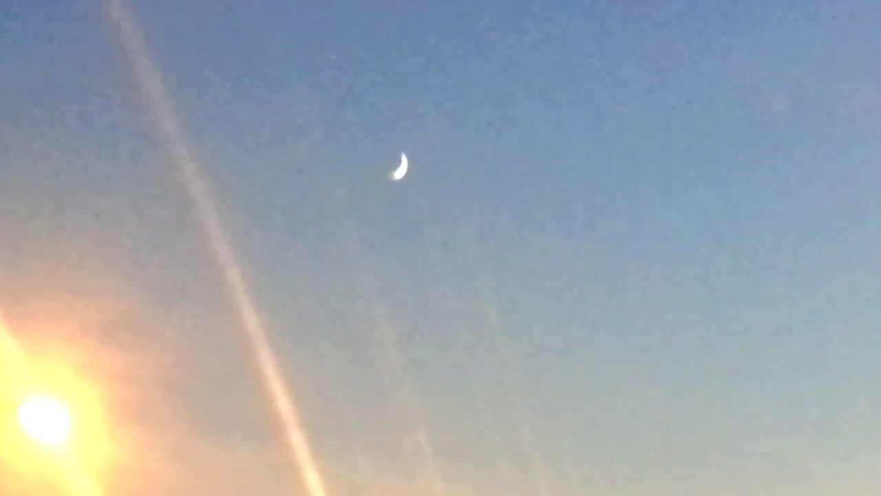 "Sea Of Love" - Cat Power (Ukulele Cover by DJ Denise)